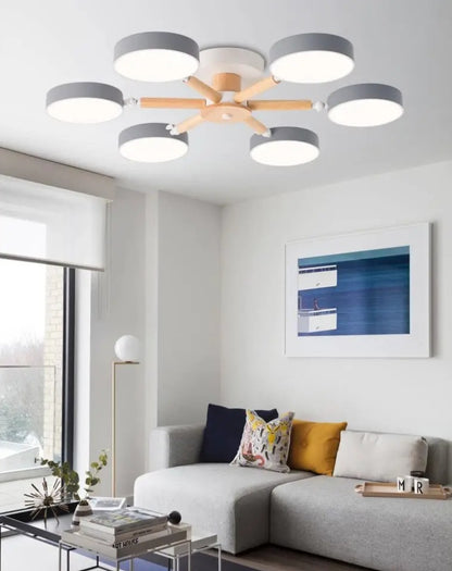 Modern Ceiling Lamp