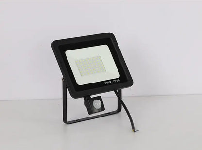 PIR Motion Sensor Floodlight