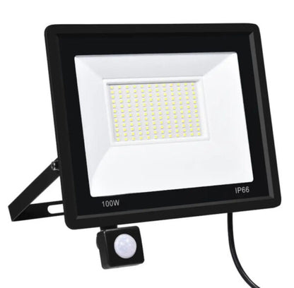 PIR Motion Sensor Floodlight